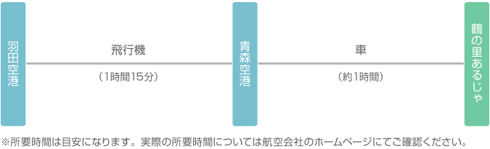 東京から飛行機と車でお越しの場合